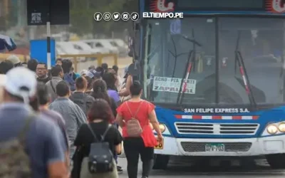 Buses y combis circulan con normalidad pese a llamado al paro de sector de transportistas