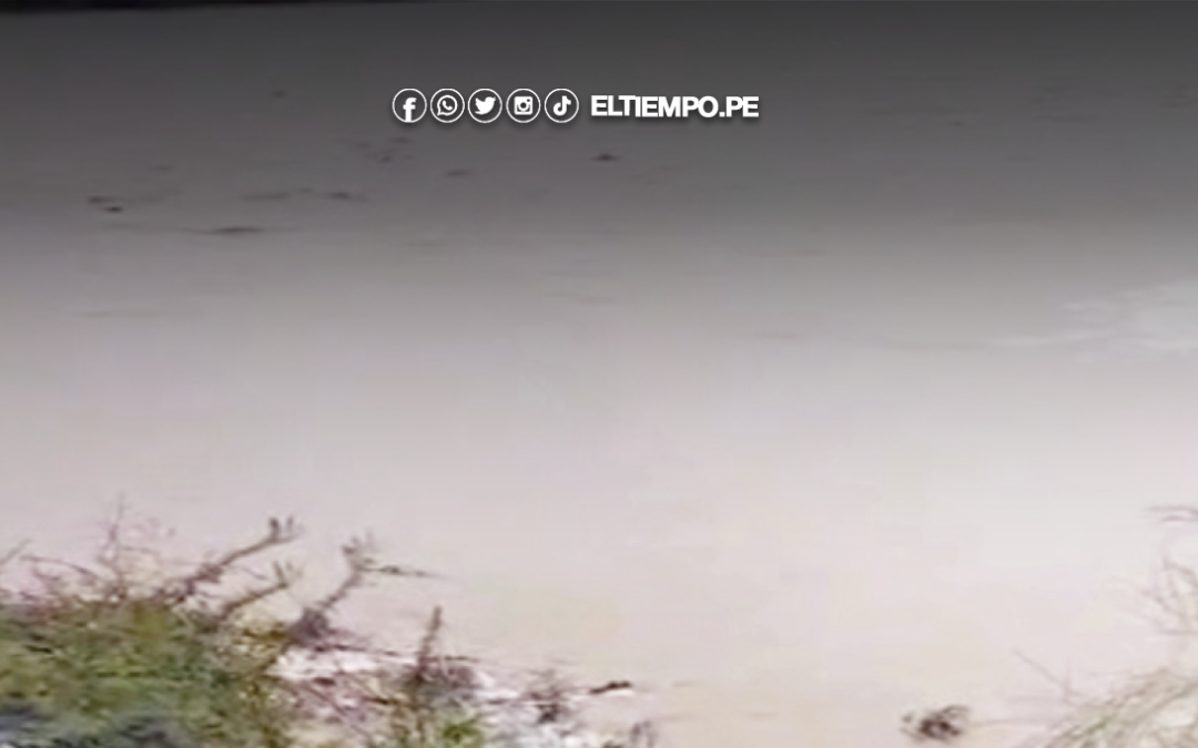 Sullana: Crecida del río arrasó con cultivos de arroz y plátano