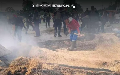 Crisis del arroz en Perú: Arroceros anuncian paro nacional tras estrepitosa caída de precios y bloqueos en San Martín