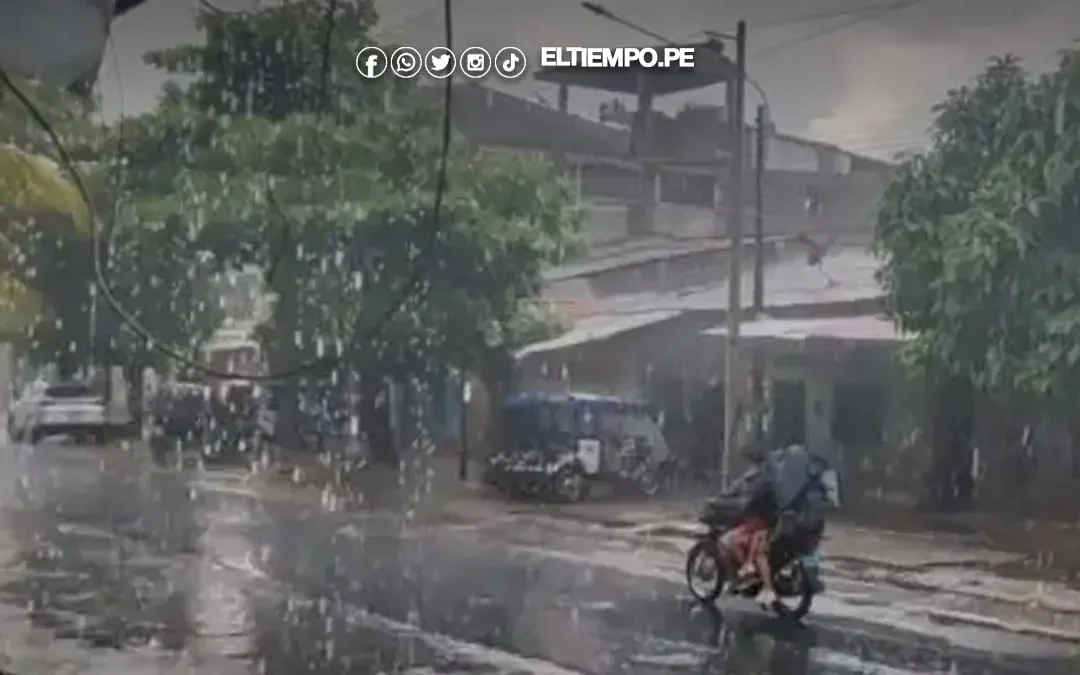 ¡Alerta en la selva! Senamhi pronostica lluvias moderadas a fuertes en 8 regiones