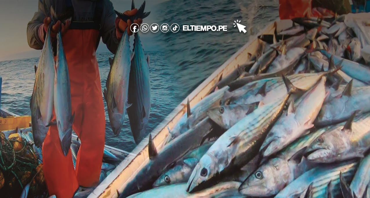 Pescadores rechazan nuevas reglas dadas por el Produceet Pescadores rechazan nuevas reglas dadas por el Produce