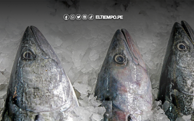 PRODUCE optimiza distribución de cuota de bonito y amplía oportunidades para pescadores artesanales