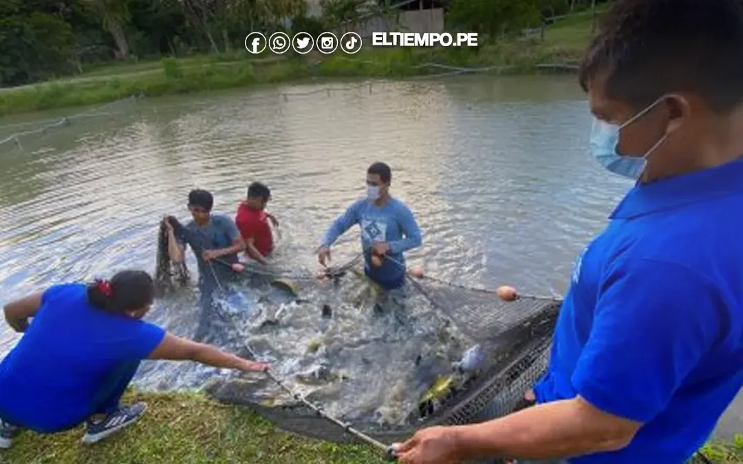Aprueban normas para régimen excepcional de pago de multas en pesca y acuicultura