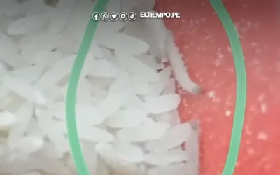 Investigan caso de gorgojos en arroz para escolares del Programa de Alimentación Escolar