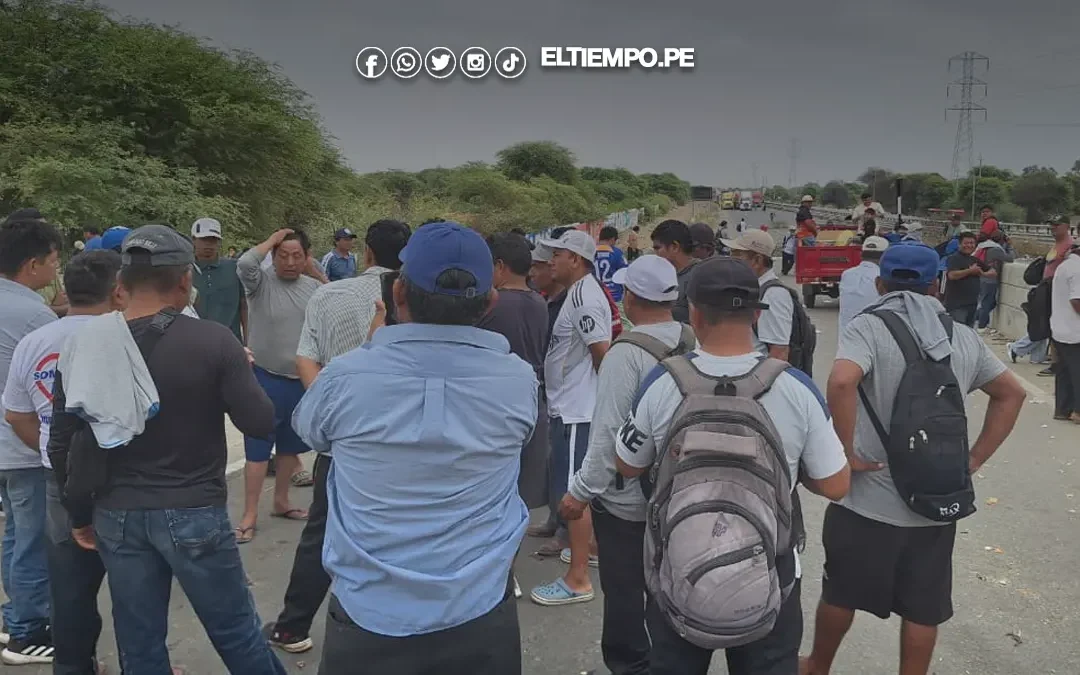 Ejecutivo aún no publica Decreto de Urgencia para atender crisis del sector arrocero