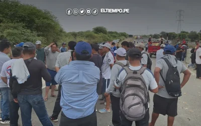 Ejecutivo aún no publica Decreto de Urgencia para atender crisis del sector arrocero